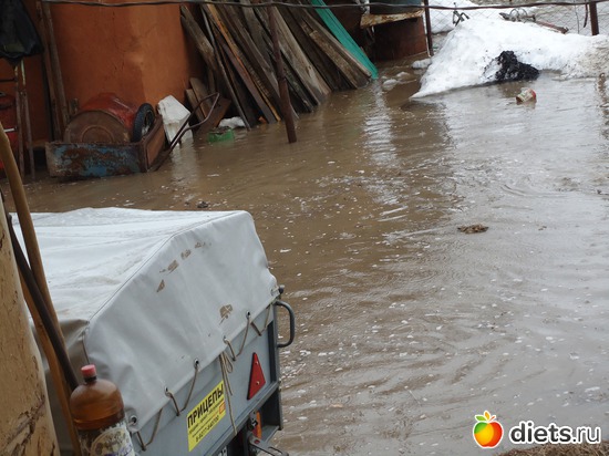 ���� ������ �� ����., ������: ������� �������.�����-������.