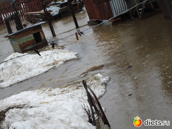 5 ����: ������� �������.�����-������.