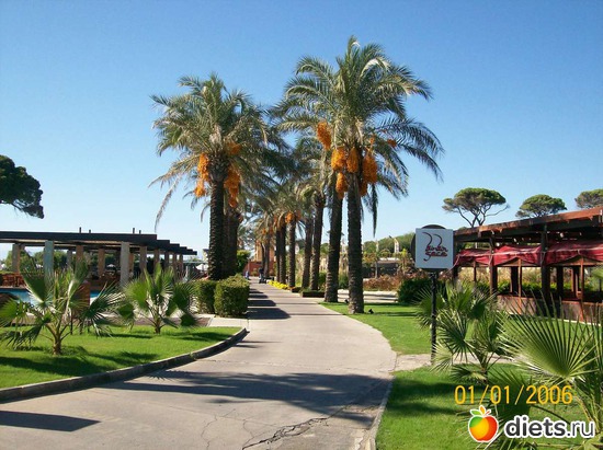 ������ � ����., ������: ������.����� 2010.