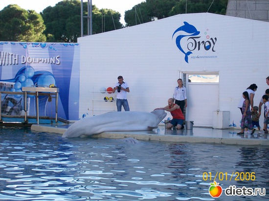 ����������., ������: ������.����� 2010.