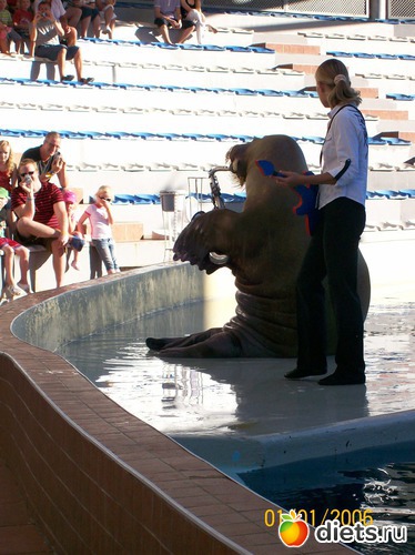 ����������, ������: ������.����� 2010.