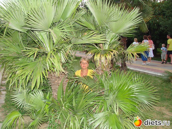 2 фото: Сочи