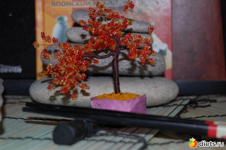 28 ����: ��� ������