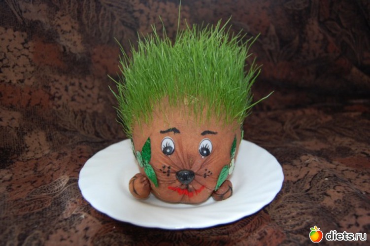 30 ����: ��� ������