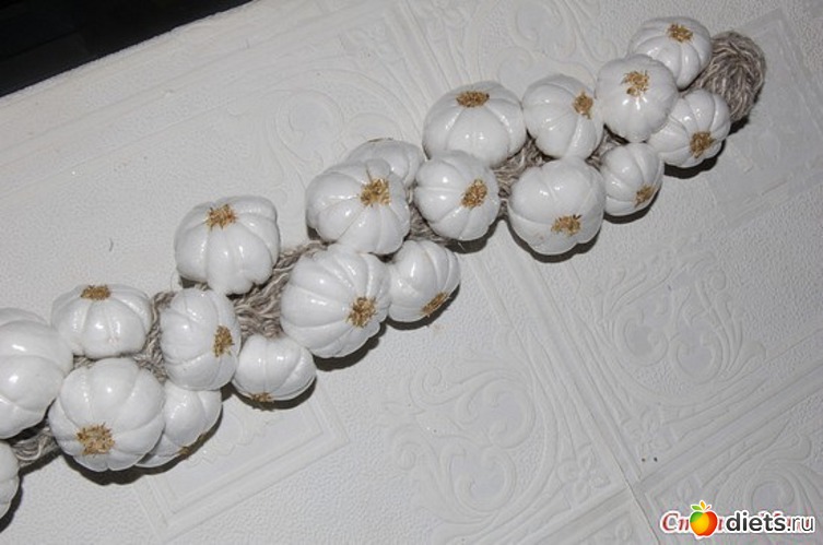 31 ����: ��� ������