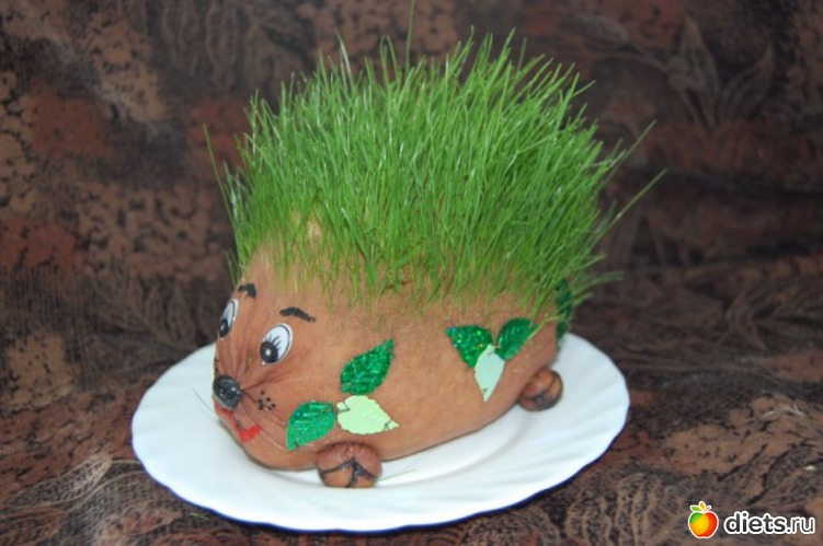 34 ����: ��� ������