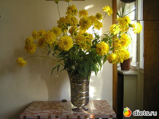 4 ����: �������  ����, ���  �������  ����...