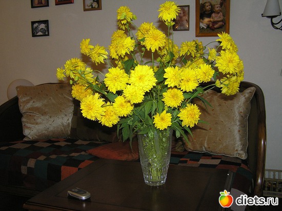 5 ����: �������  ����, ���  �������  ����...