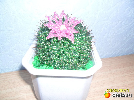 Цветущий кактус, альбом: Бисероплетение