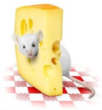 обязана сделать!