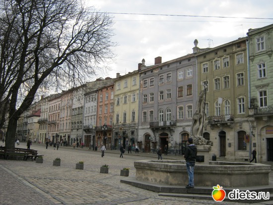 ������� �����, ������: �����