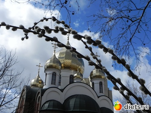 Поздравления (на все случаи жизни)!!!