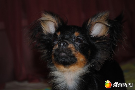 2 ����: ������� � ��������