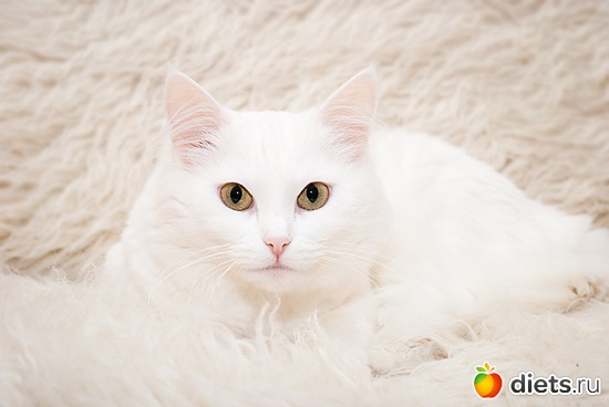 6 ����: ������� � ��������