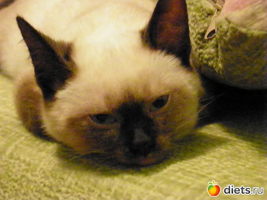 4 ����: ������)