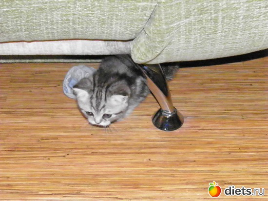 5 ����: ������)