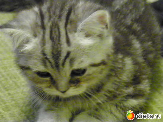 21 ����: ������)