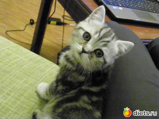 22 ����: ������)