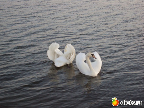 9 ����: ��, ��� ���� ��������!!!