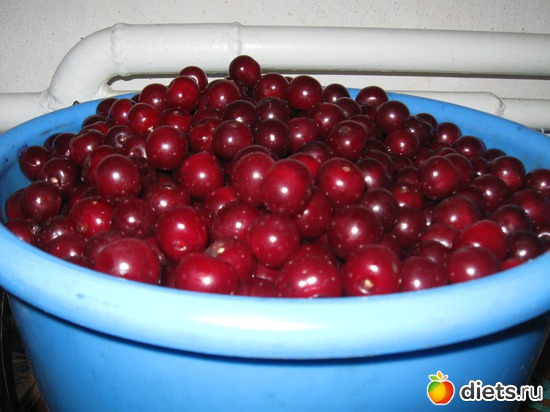 3 фото: Мой сад-огород