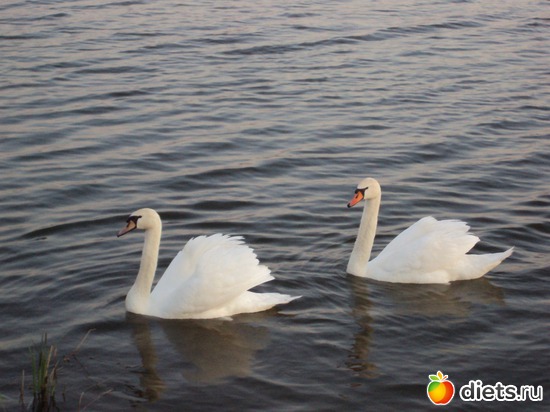 6 ����: ��, ��� ���� ��������!!!