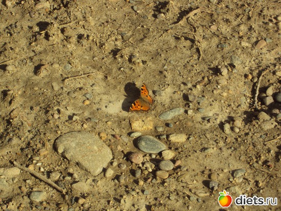 11 ����: ��, ��� ���� ��������!!!