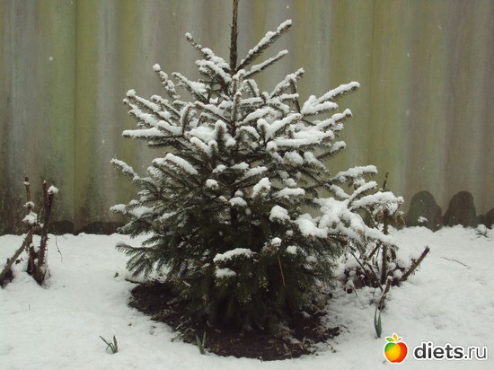 12 ����: ��, ��� ���� ��������!!!