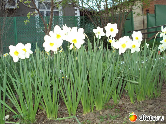 �������� ������������ � �����������, ������: ��, ��� ���� ��������!!!