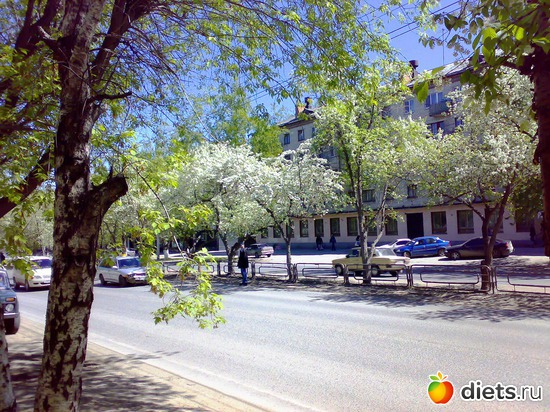 Цветущие яблони на Мельникайте. Сейчас их уже нет...., альбом: Я вижу