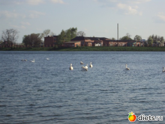 8 ����: ��, ��� ���� ��������!!!