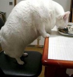 Лед тронулся!