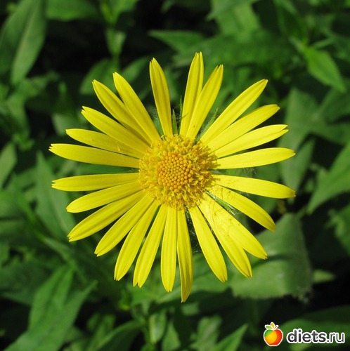 НАСТРОЕНИЕ, альбом: О РАЗНОМ...