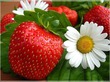 Низкоколлорийная запеканка-вкусно и без вреда для талии.