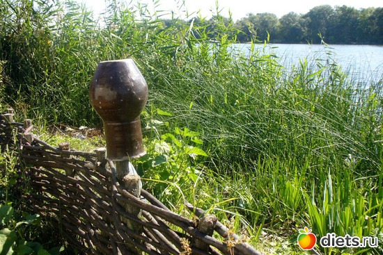 на берегу, альбом: натуральная красота