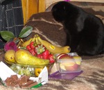 Моего сыночку увезли и скоро обидят)