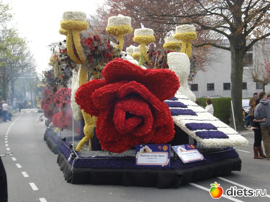 6 фото: ВЕСНА 2011