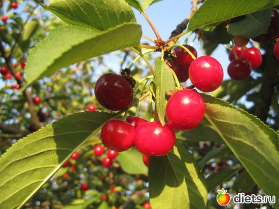 10 ����: �������� ������