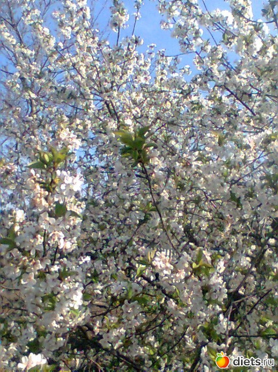 ����� � �����, ������: �������� ������