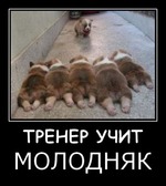 ПО-ХИ-ХИ-КАЙТЕ