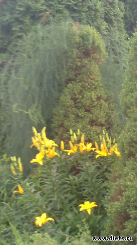 ������� ����������..., ������: ������ ����������.