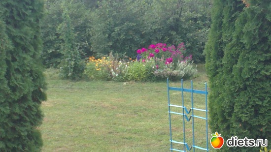 ������� �� ����)))), ������: ������ ����������.