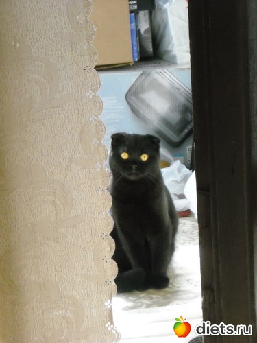 Мой любимый сыночек =*, альбом: Всё сразу :)