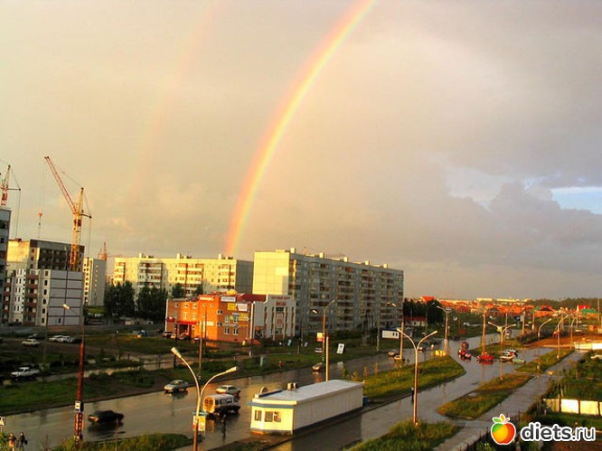 ��� ����� ��������, ������: ��������