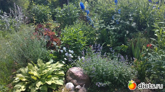 ������-�����..., ������: ������ ����������.