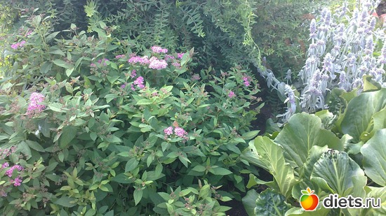 11 ����: ������ ����������.