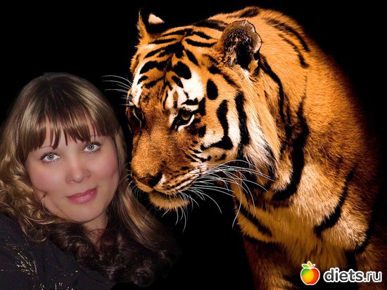 ����� ��� 2010, ������: ����������