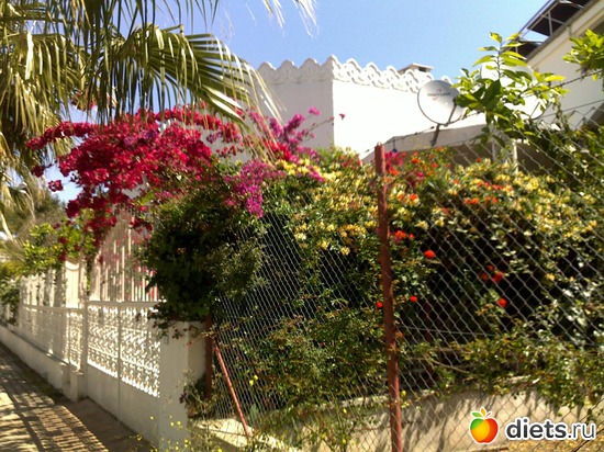 18 ����: ��� ����� ������...