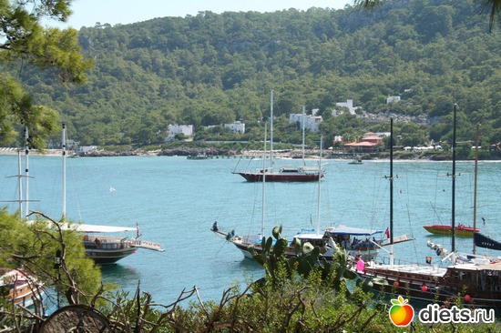 4 ����: ��� ����� ������...