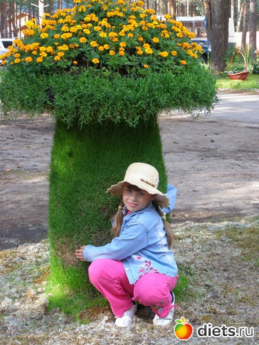 ������� �����, ������� ���� ������, ������: ���     �����