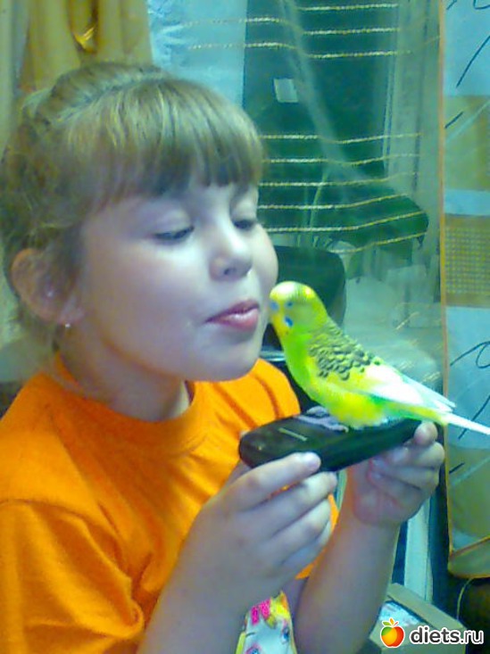 ����� � ����, ������: ���     �����